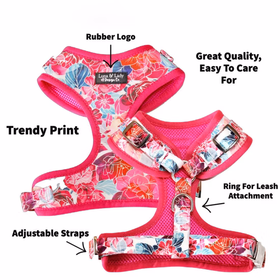 Hanyang Multicolor L Custom Individual Package Xs, S, M, L, XL or Soft Harness Dog Supply