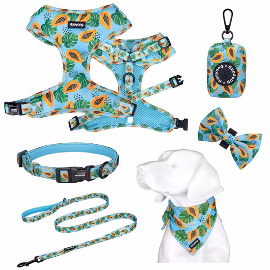 Hanyang Multicolor L Custom Individual Package Xs, S, M, L, XL or Soft Harness Dog Supply